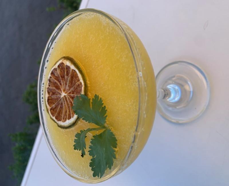 Fotos X Jornadas C�cteles por Toledo, Galer�as de fotos, Asociaci�n Provincial de Empresarios de Hosteler�a y Turismo de Toledo