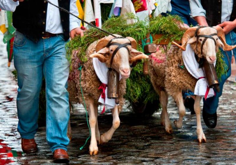 Ampliaci�n del horario de cierre en Talavera de la Reina durante la Fiesta de las Mondas