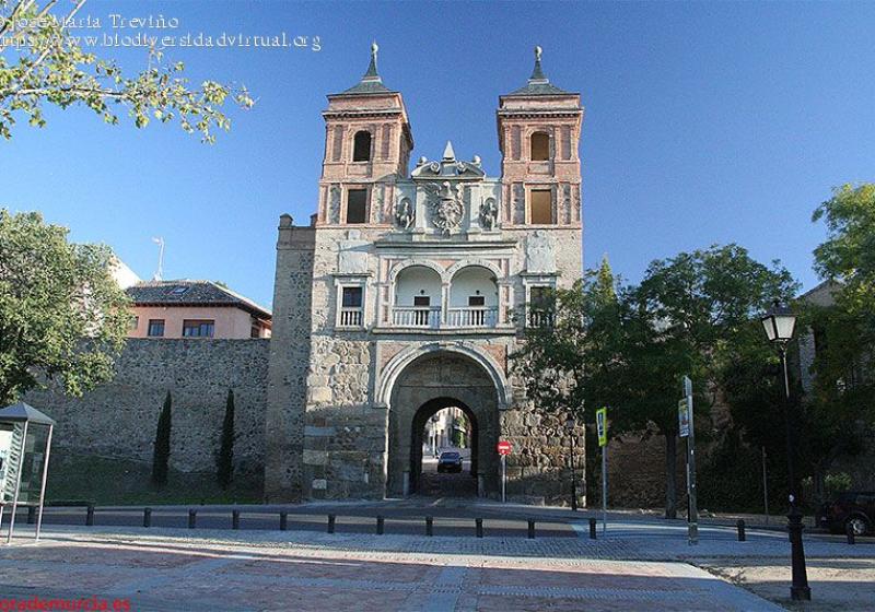 Los cortes de tr�fico por la Puerta del Cambr�n en Toledo comenzar�n el 16 de julio