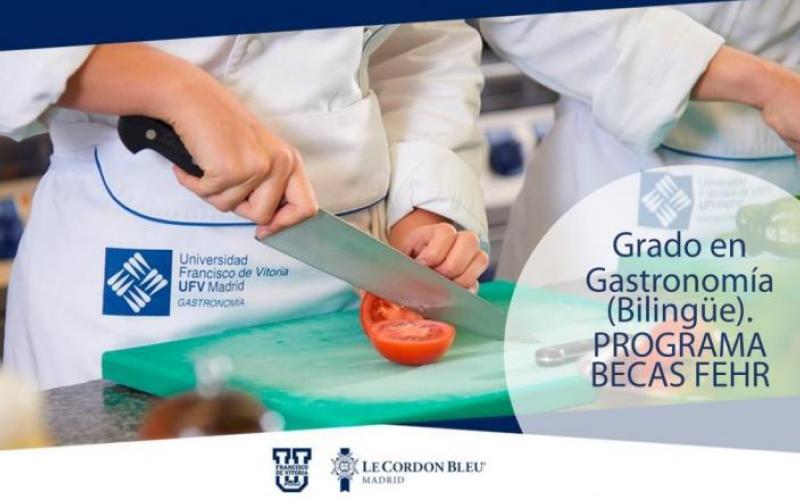 Plan de Excelencia Educativa para los alumnos con expediente Excelente a nivel nacional