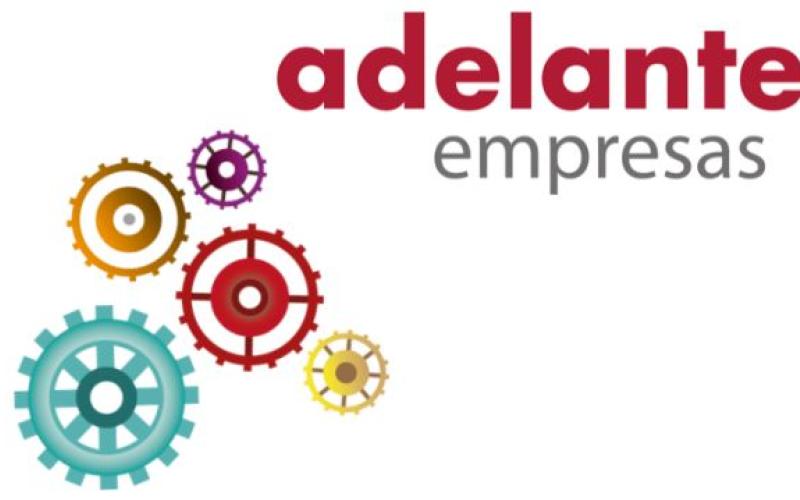 Subvenciones a la inversi�n empresarial � Programa Adelante Inversi�n